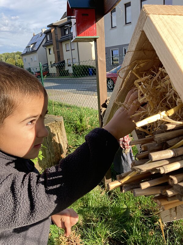 Kind baut Insektenhotel