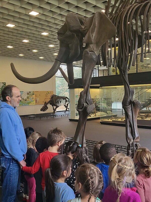 Kinder betrachten in Museum ein Mammut-Skelett