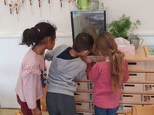 Kinder schauen in Terrarium