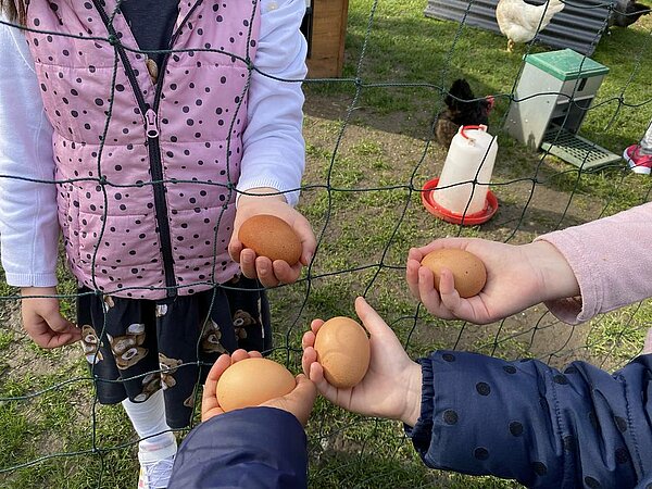 Kinder halten Eier in der Hand