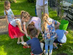 Kinder pflanzen Baum